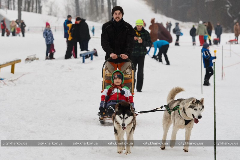 В Харькове прошел Winter Fest (фото)