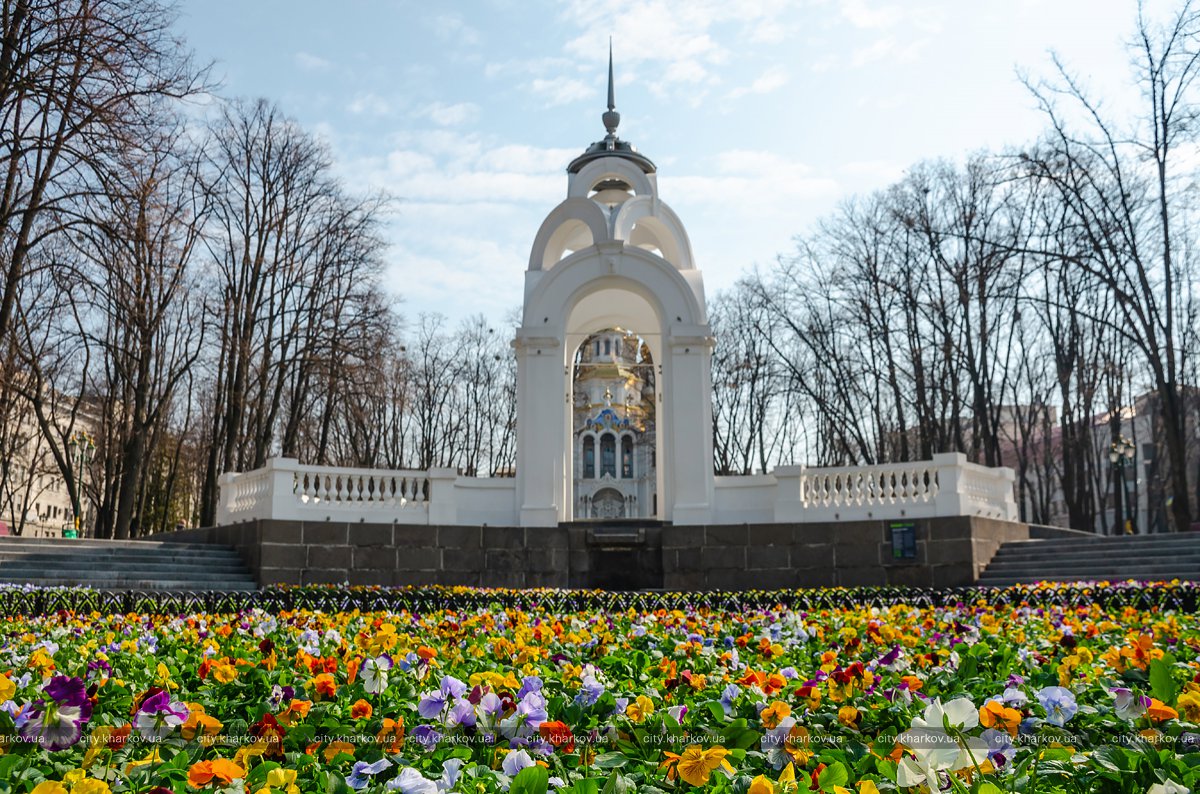 Весна в калуге фото