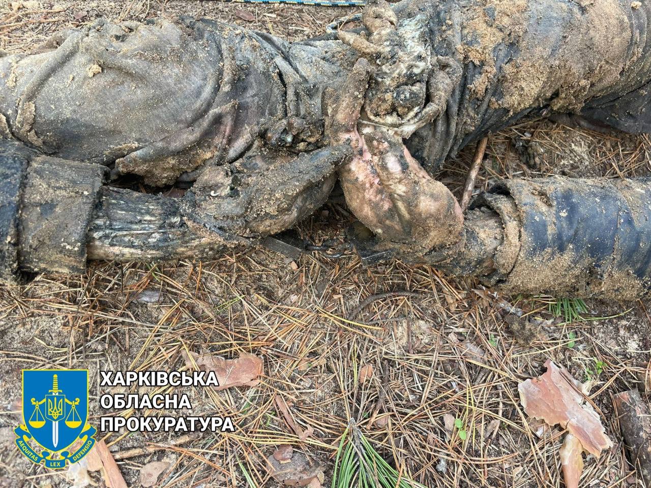 На Харківщині знайшли яму з убитими. Тіла скуті між собою наручниками (фото, відео 18+)