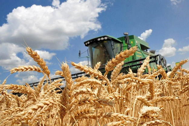 1 мільйон тонн зерна вже зібрали в Харківській області