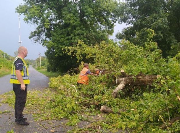 Буревій повалив дерева і зірвав дахи в Харківській області (фото)