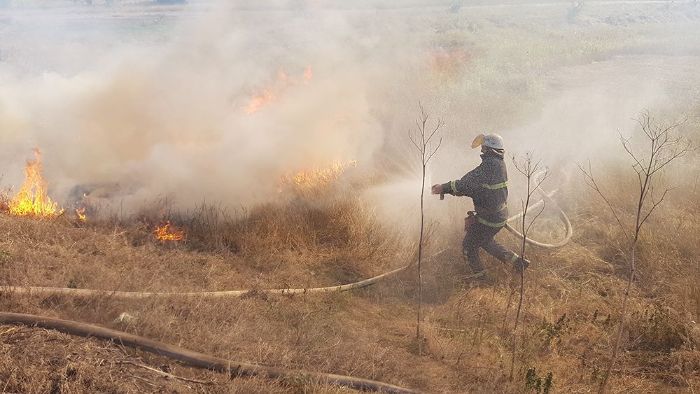 Спалювання сухостою стали трактувати як диверсію