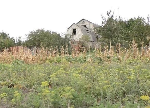 У селі-привиді в Харківській області живе тільки одна жінка (відео)