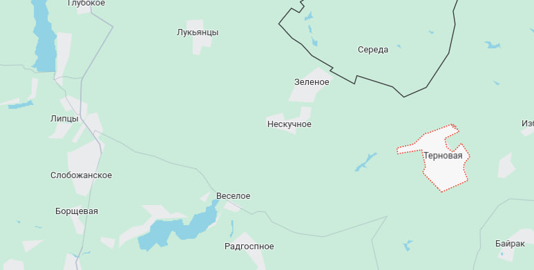 Россияне атакуют в районе Терновой и Липцев, все штурмы отбиты - Генштаб
