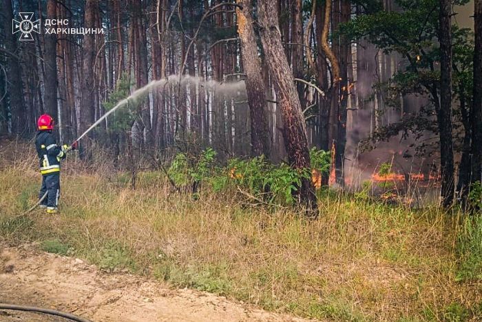 В Балаклее перекроют движение транспорта из-за лесного пожара