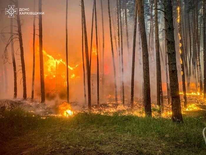 В Харьковской области продолжают гореть тысячи гектаров леса