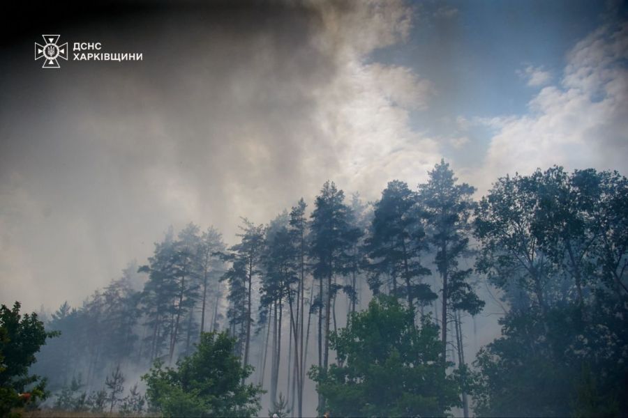 Министр экологии заявил, что рекордный лесной пожар в Харьковской области погасить невозможно