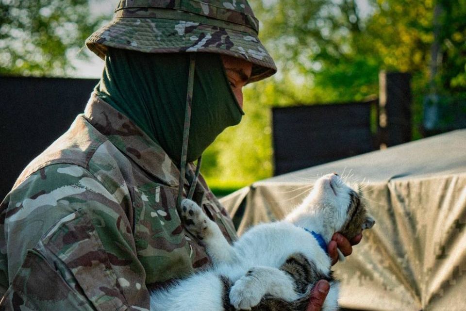 Харьковские пограничники спасли кота (фото)