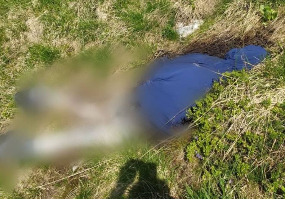 На высокогорье Карпат нашли тело жителя Харьковской области: его искали с 2023 года