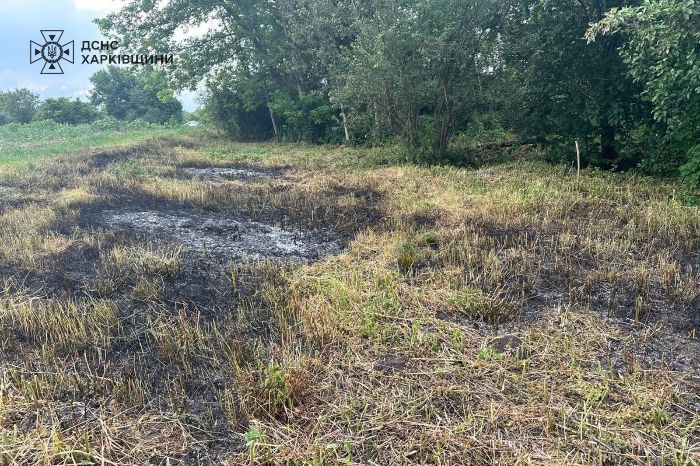 У Харківській області жінка спалювала траву і загинула (фото)
