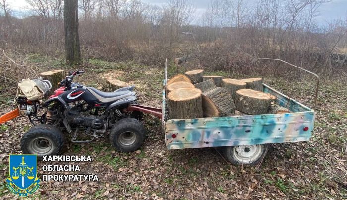 Житель Харьковской области незаконно срубил деревья на сумму 120 тысяч гривен (фото)