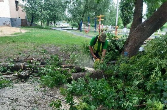 В Харкові негода: впало багато дерев (фото)