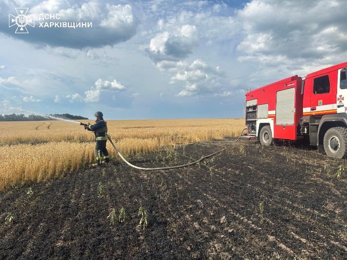 РФ специально ударила по полю пшеницы в Харьковской области, чтобы уничтожить урожай - ГосЧС (фото)