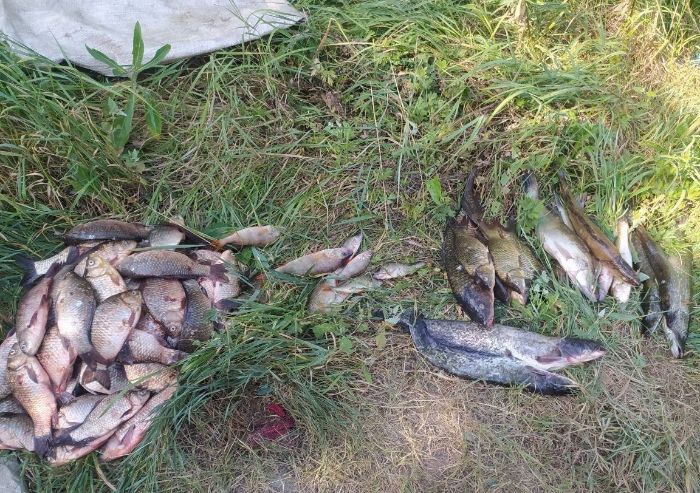 Браконьєри в Харківській області виловили риби 424 тисячі гривень