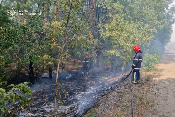 Рятувальники ліквідовують пожежу в лісі