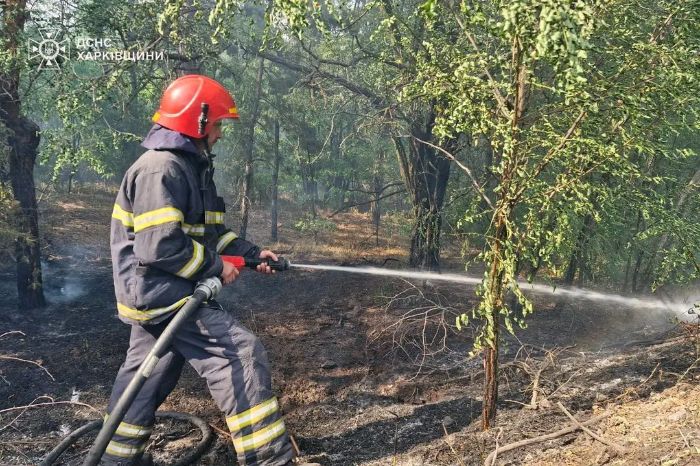 Рятувальник гасить пожежу