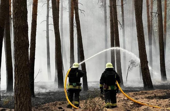 Вогнеборці гасять пожежу