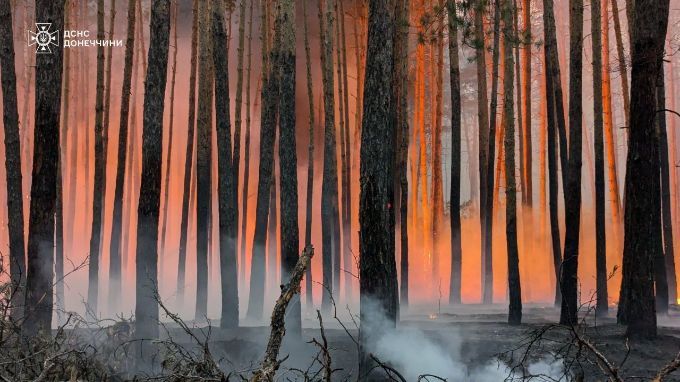 Лісова пожежа в Ізюмському районі Харківської області