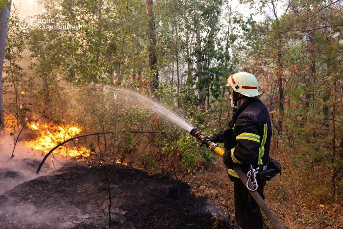 Рятувальник гасить лісову пожежу