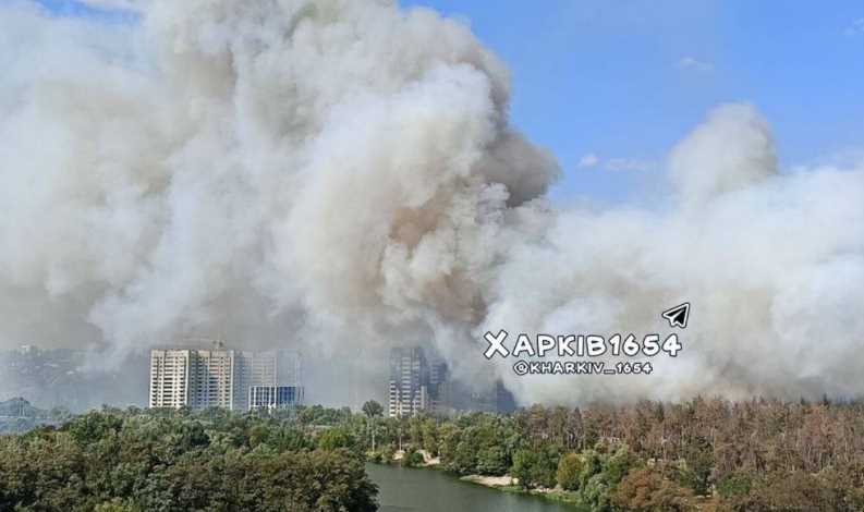 На Салтовке горит 4 гектара леса, движение транспорта перекрыто