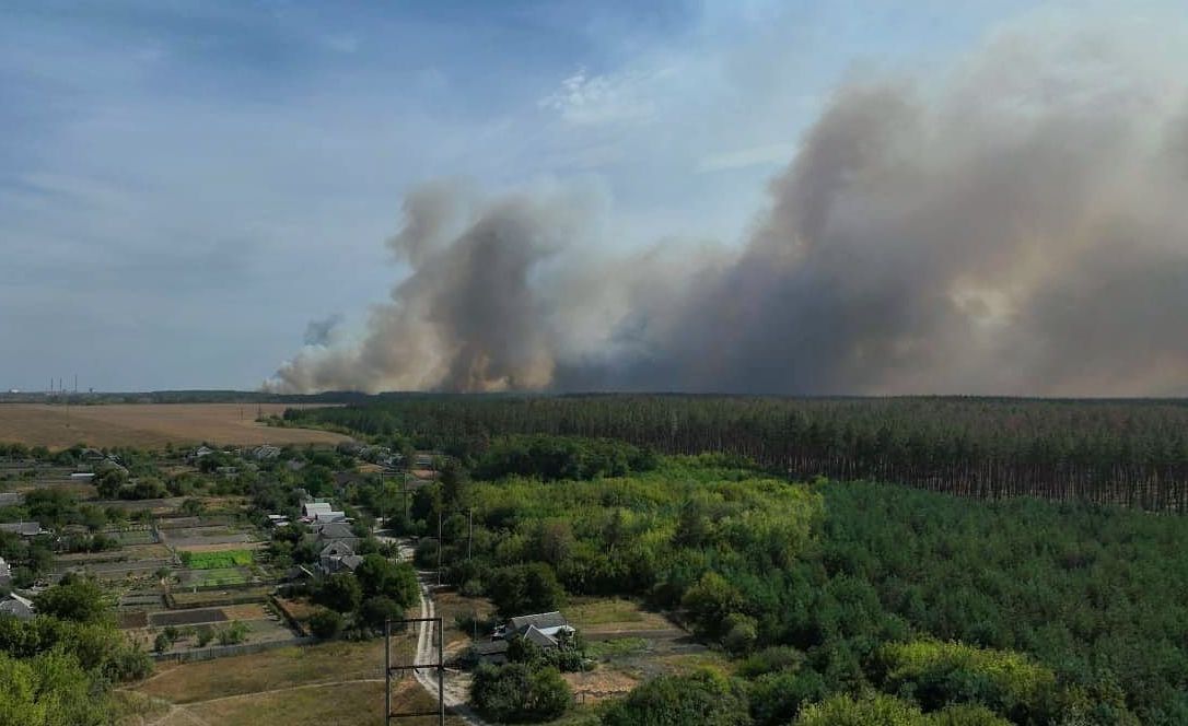 Дим від лісової пожежі