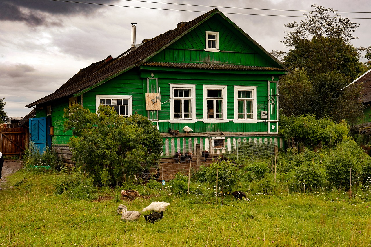 дом в селе