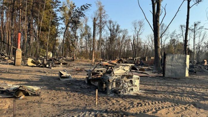 Наслідки пожежі біля села Піски-Радківські