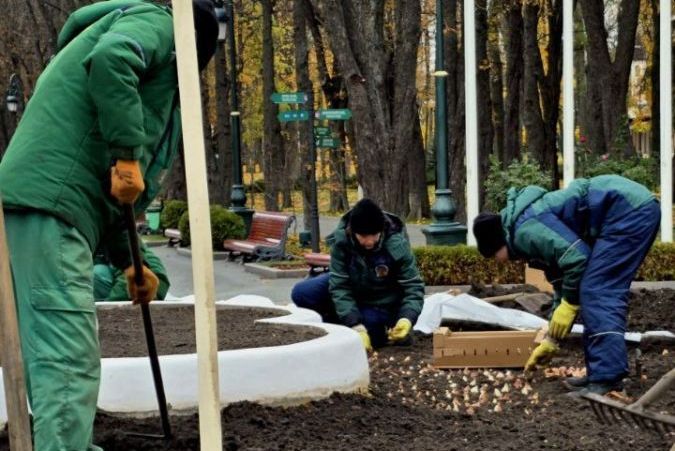 Висадження тюльпанів у Центральному парку Харкова