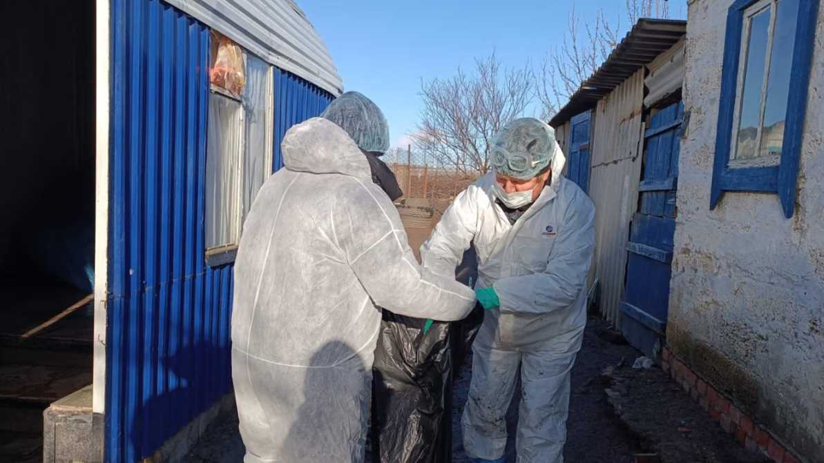 У Харківській області виявлено пташиний грип