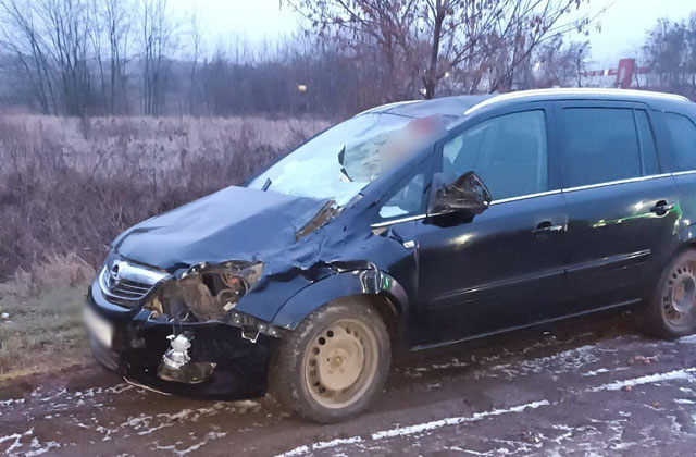 В пригороде Харькова насмерть сбит пешеход