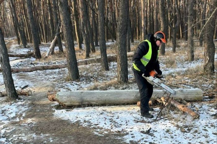 У Харкові дерево впало на пішохідну доріжку (фото)