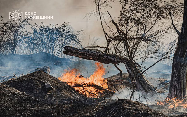 У Харківській області почастішали пожежі сухостою