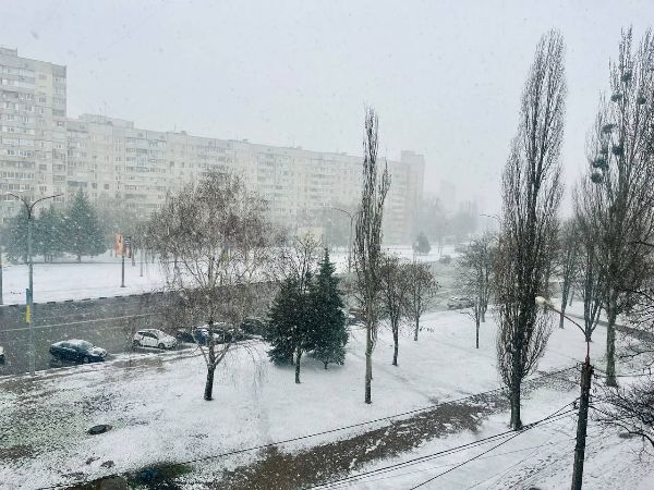 В Харькове после жары пошел снег (видео)