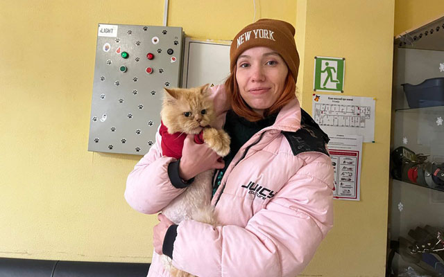 В Харькове за месяц нашли семьи для 83 бездомных животных