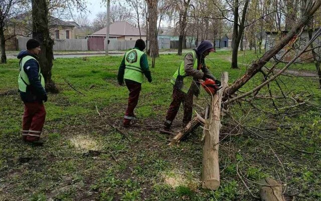 В Харькове повалило деревья (фото)