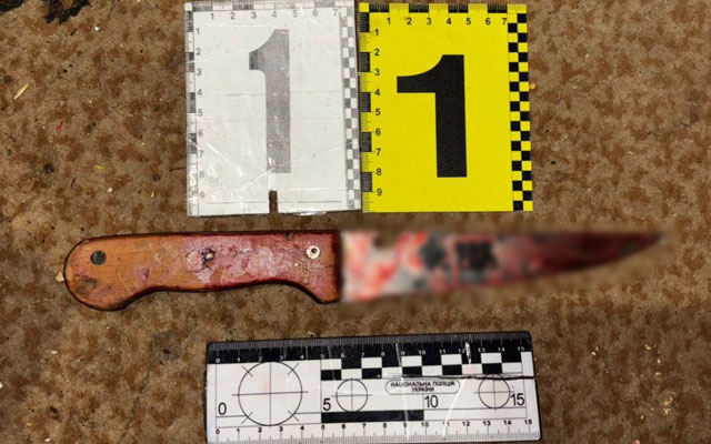 В Покотиловке женщина зарезала отчима во время застолья