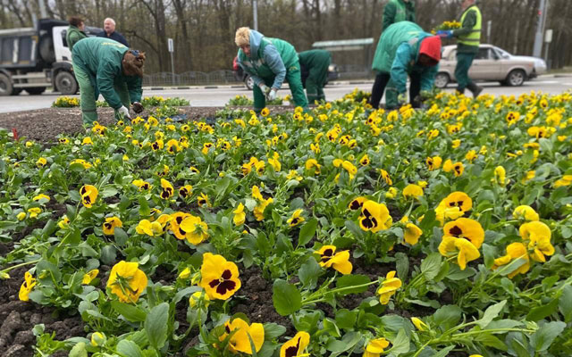 Мемориал Славы украсят орнаментом из 22 тысячи виол