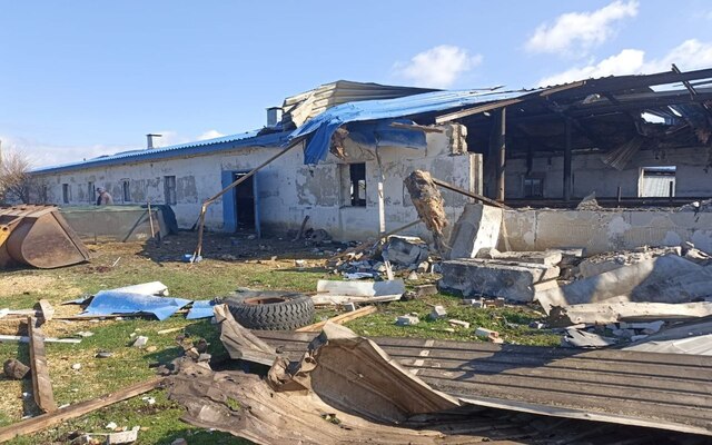 Россияне ударили по ферме в Харьковской области и убили кур и уток