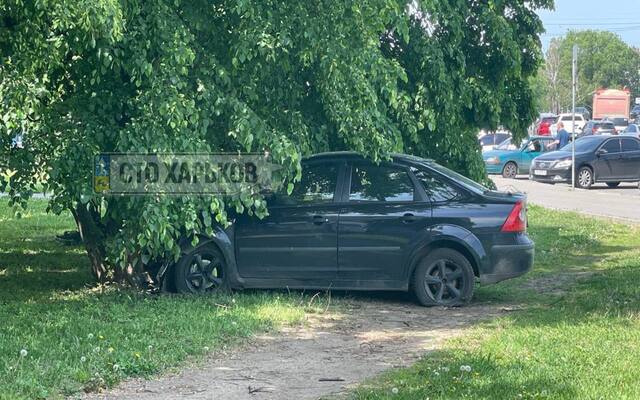 На Стрелке машина слетела с дороги и врезалась в дерево (фото)