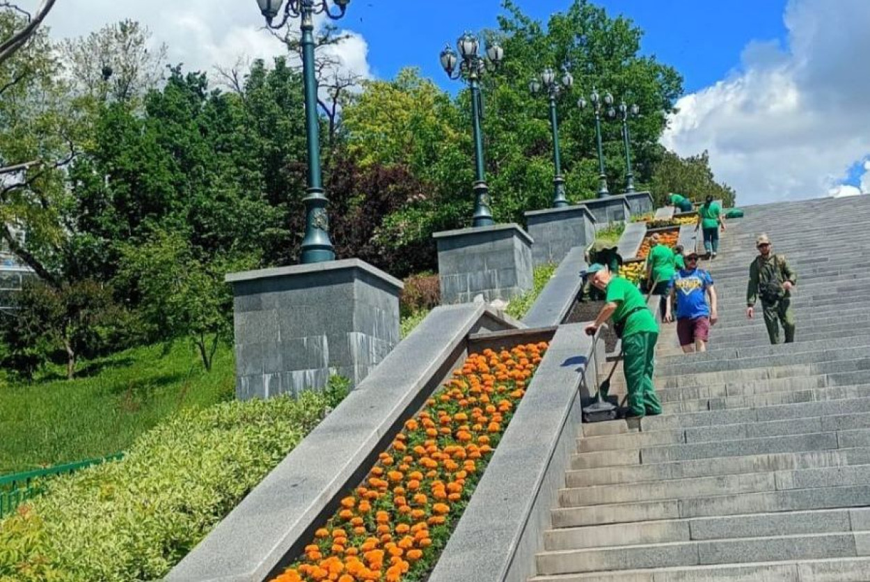 Цветы