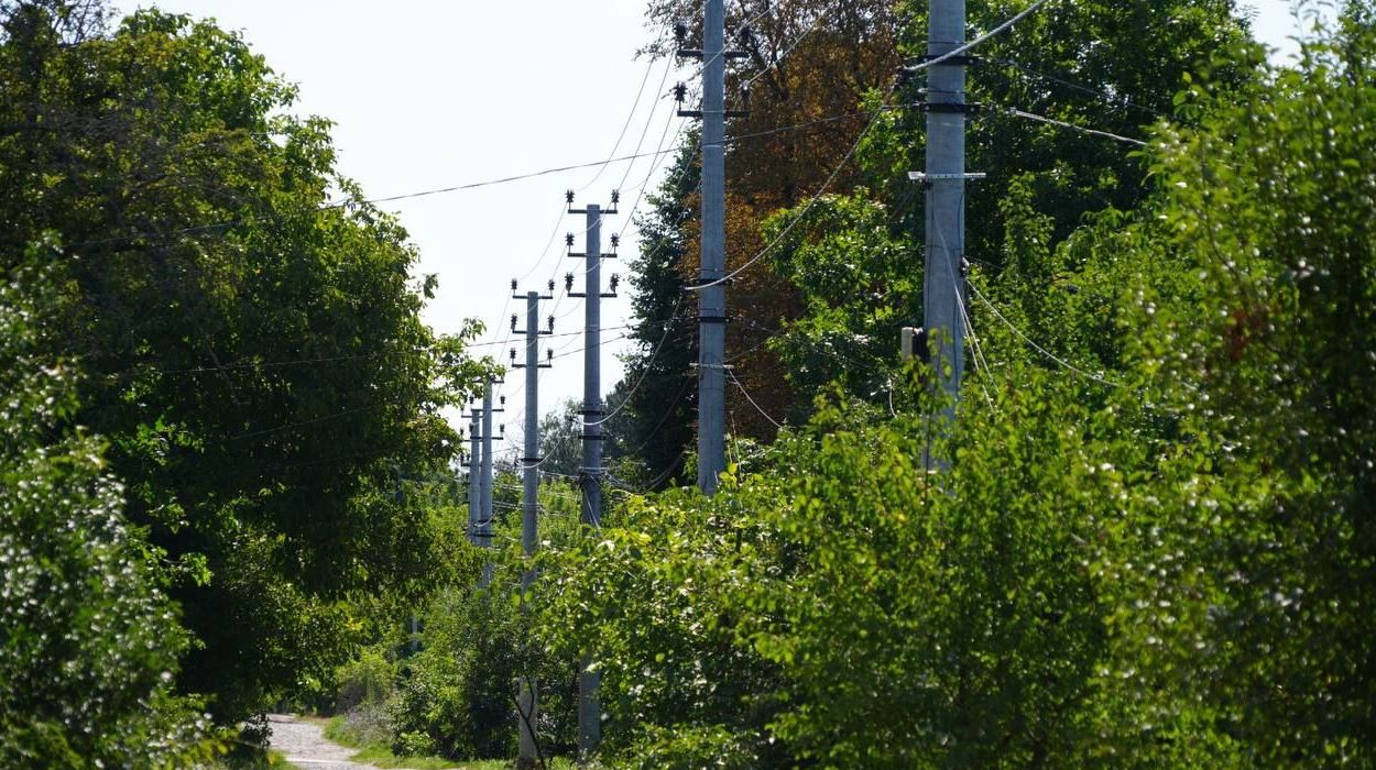 В пригороде Харькова обновили электросети