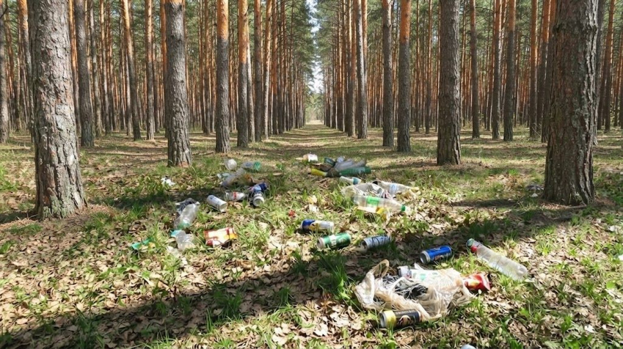 Харьковчан приглашают на уборку леса