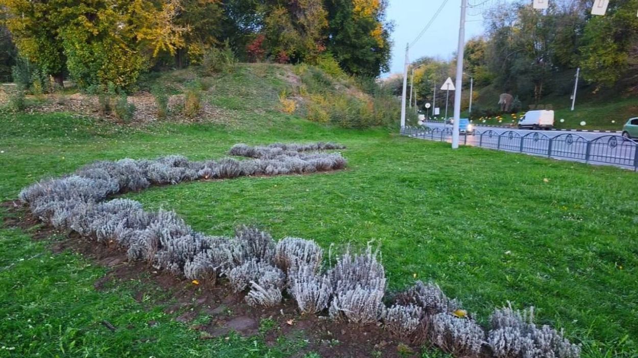 Больше 700 растений высадили на Клочковском спуске в Харькове (фото)