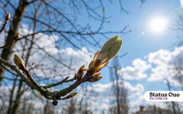 В Харькове будет постепенно теплеть