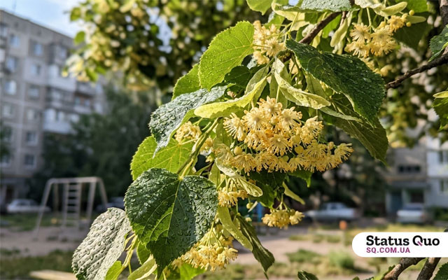 Град, шквалы и жара до +29°: синоптики предупредили о резкой смене погоды в Харькове